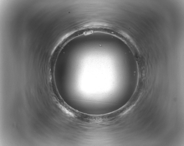 X0000066100973200603171352