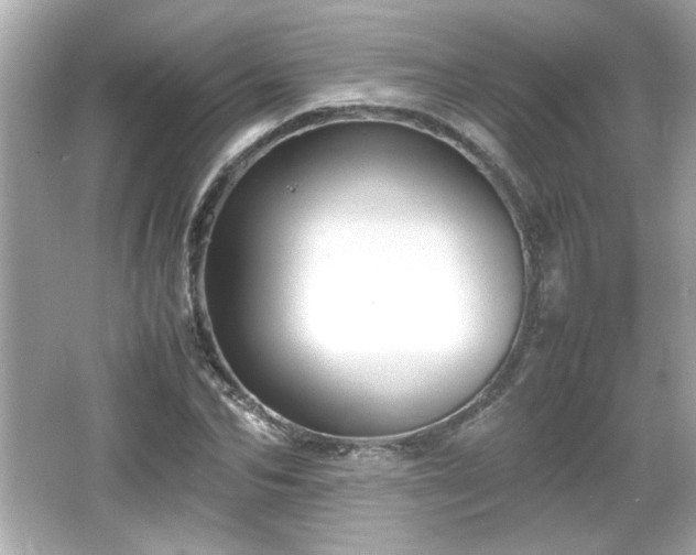 X0000066100974200603171352