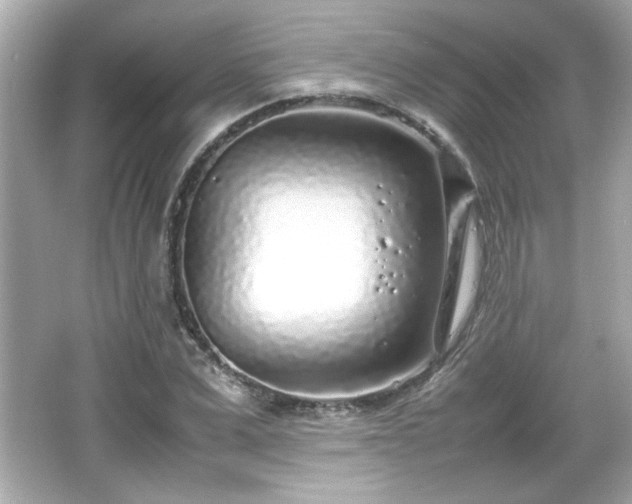 X0000066100975200603171352