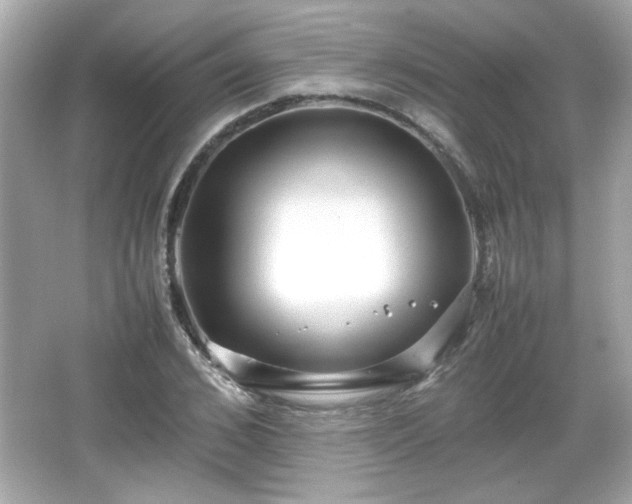 X0000066100976200603171352