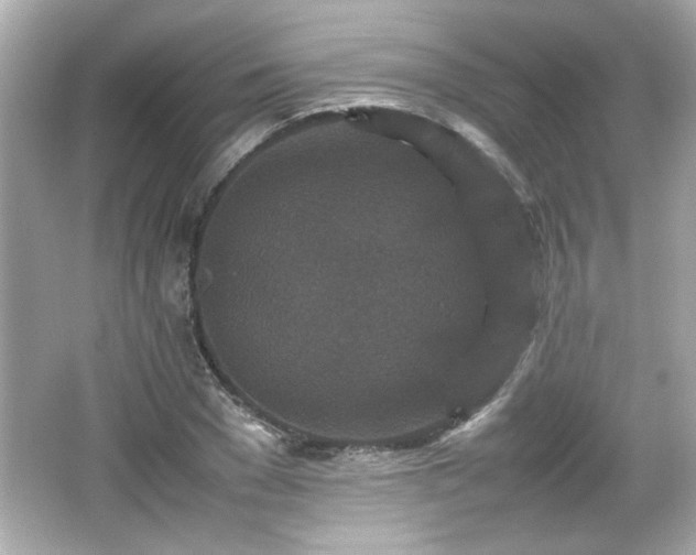 X0000066100977200603171352