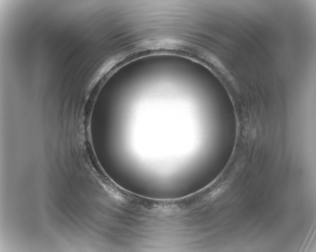 X0000066100978200603171352