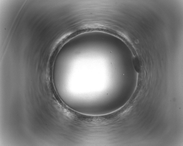 X0000066100979200603171352