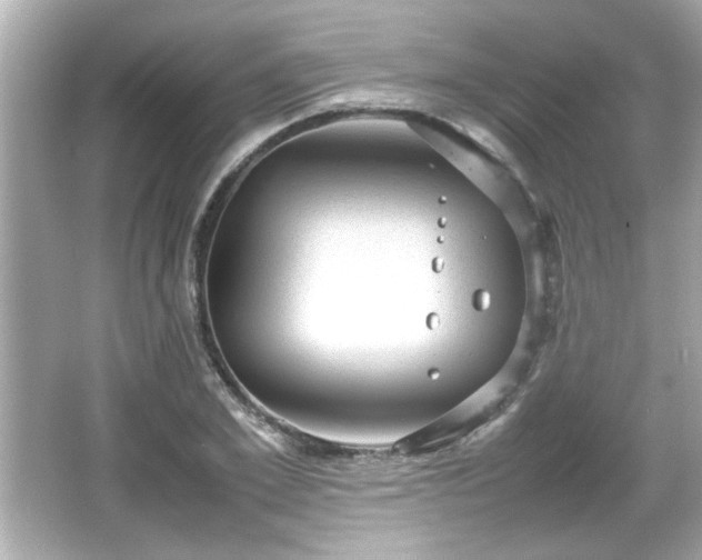 X0000066100981200603171352