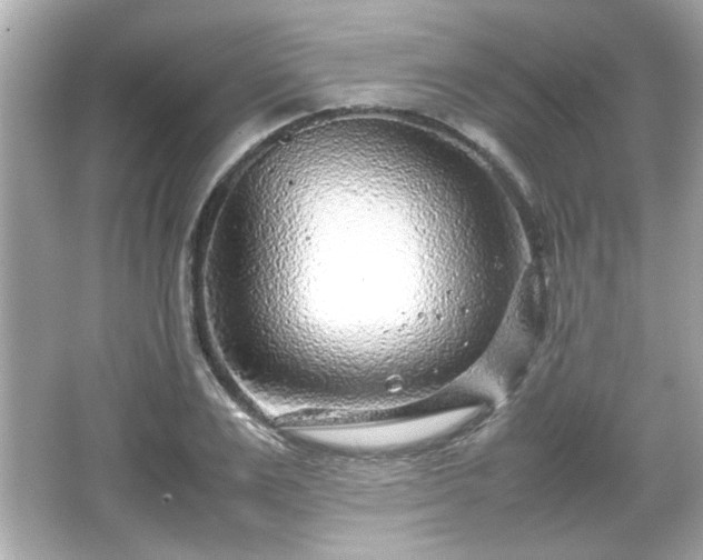 X0000066100983200603171352