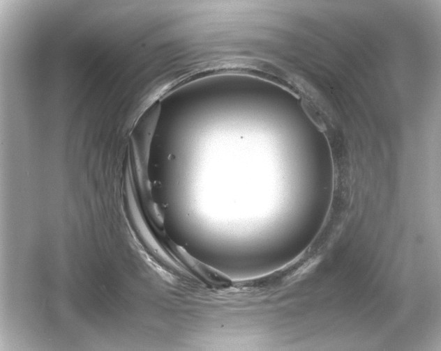 X0000066100985200603171352