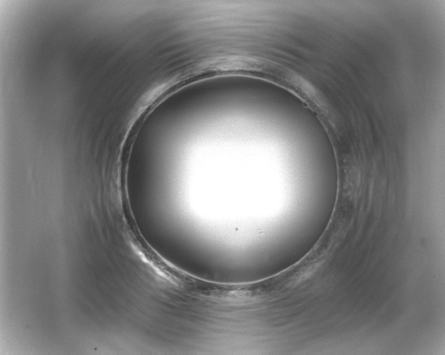 X0000066100986200603171352