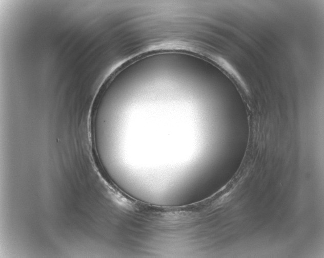 X0000066100988200603171352