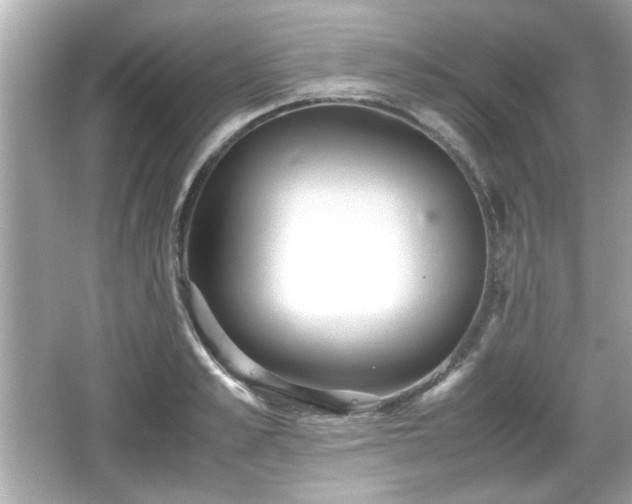 X0000066100989200603171352