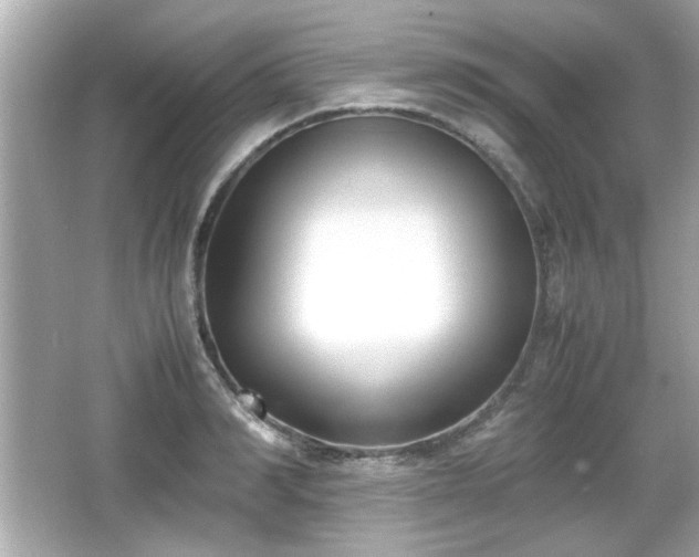 X0000066100990200603171352