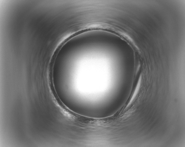 X0000066100991200603171352