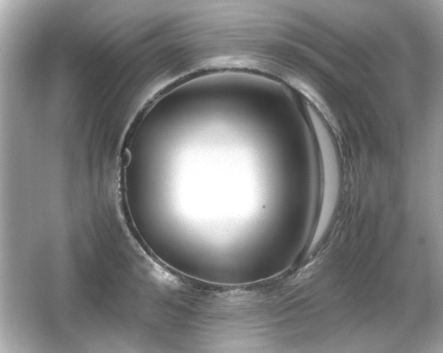 X0000066100992200603171352