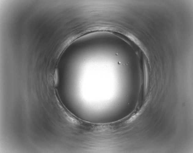 X0000066100993200603171352