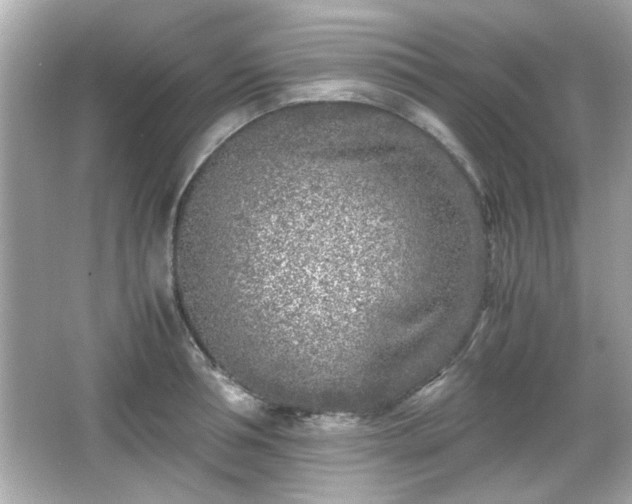 X0000066100994200603171352