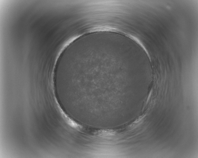 X0000066100995200603171352