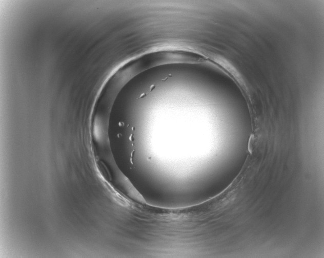 X0000066100996200603171352