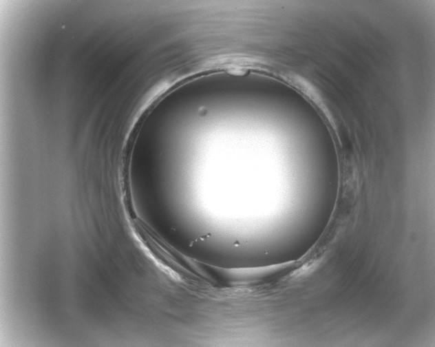 X0000066100997200603171352