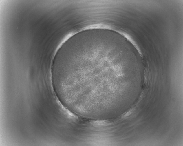 X0000066100998200603171352