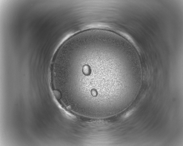 X0000066100999200603171352