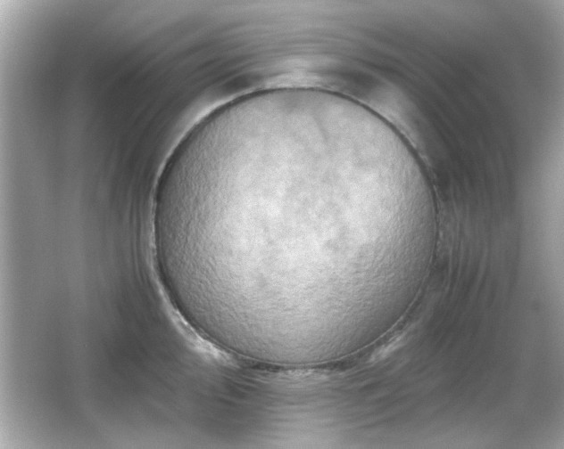 X0000066101000200603171352