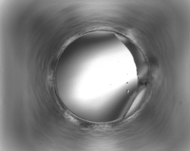 X0000066101001200603171352