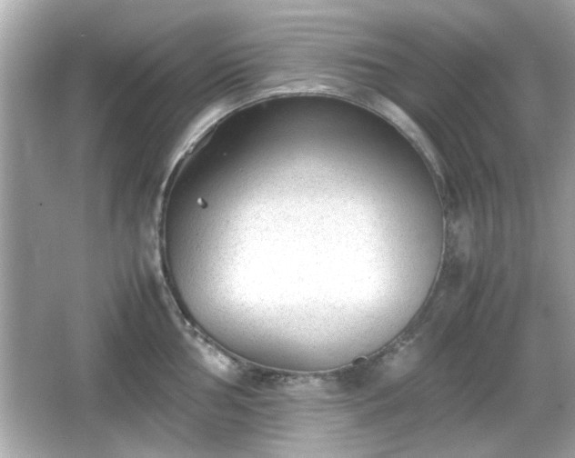 X0000066101002200603171352