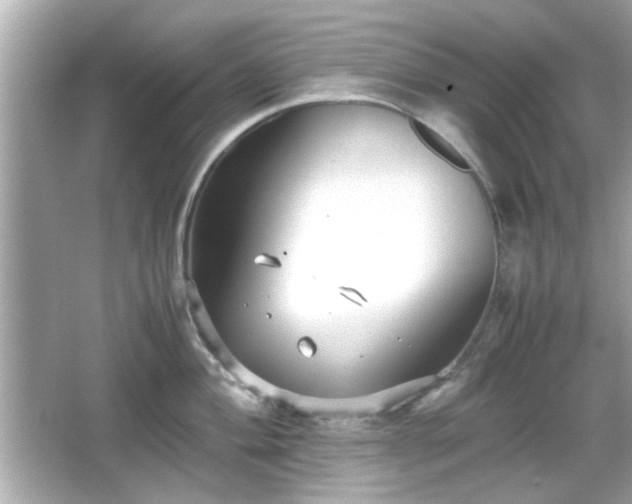 X0000066101004200603171352