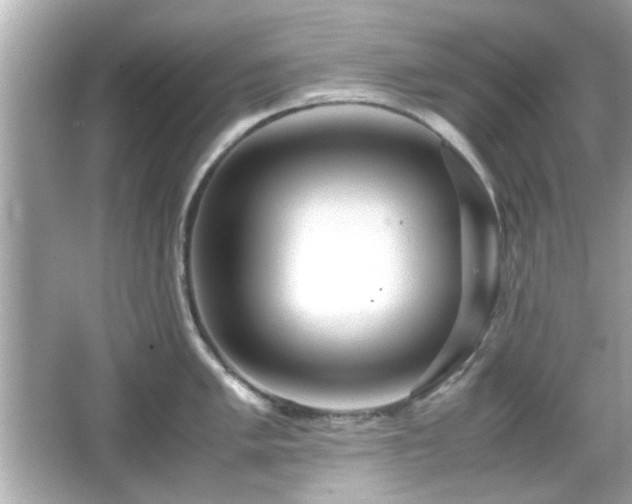 X0000066101005200603171352