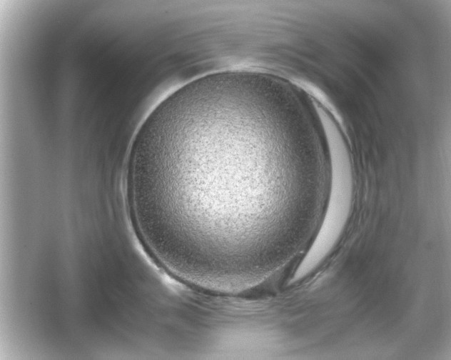 X0000066101007200603171352