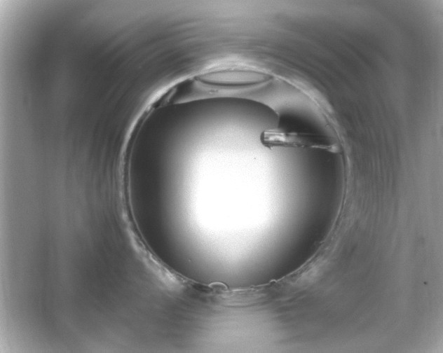 X0000066101008200603171352