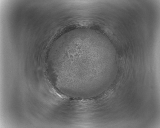 X0000066101009200603171351