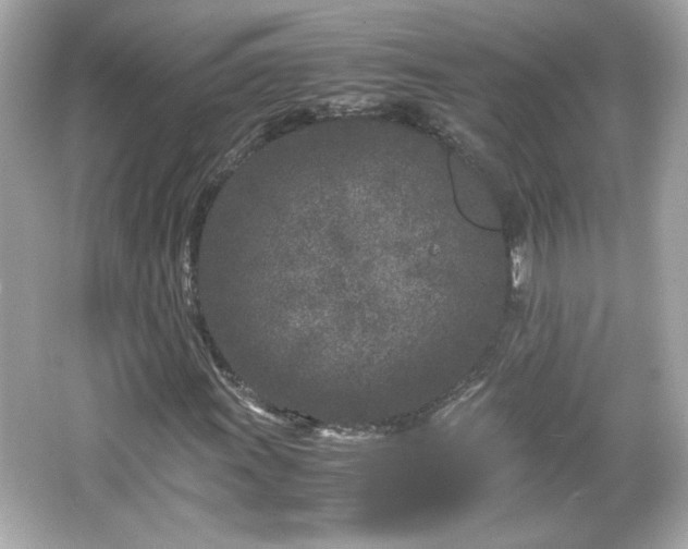 X0000066101011200603171351