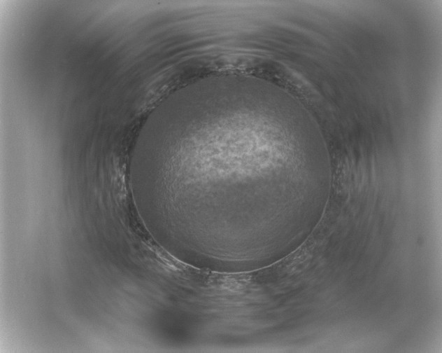 X0000066101013200603171351