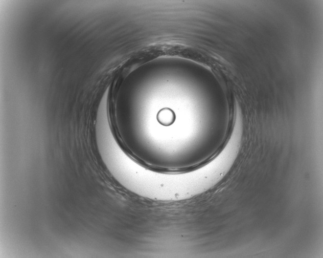 X0000066101014200603171351