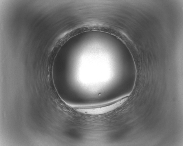 X0000066101016200603171351