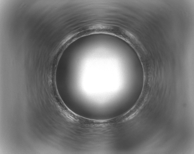 X0000066101017200603171351