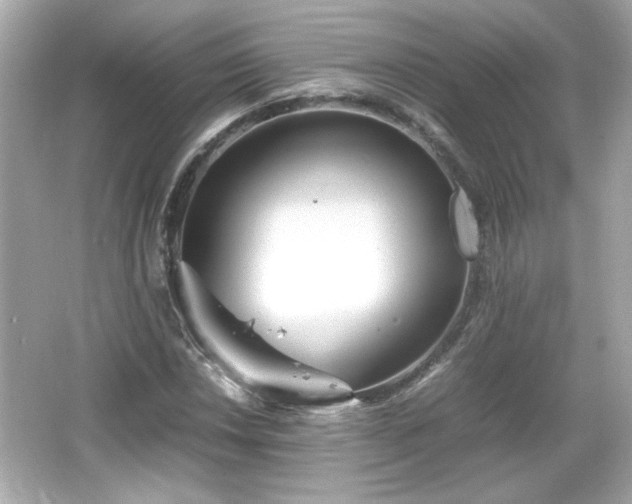 X0000066101018200603171351