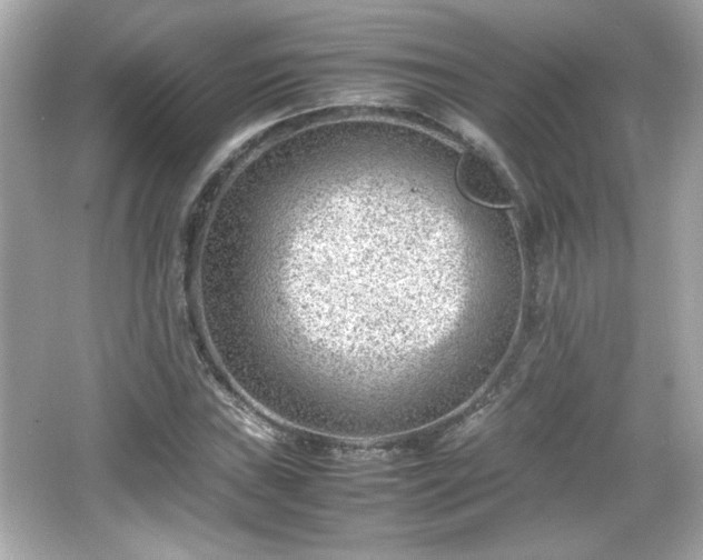 X0000066101019200603171351