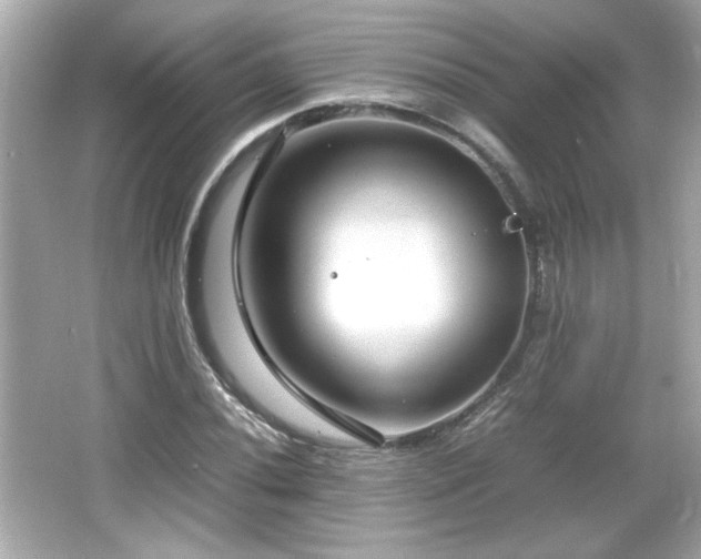 X0000066101020200603171351