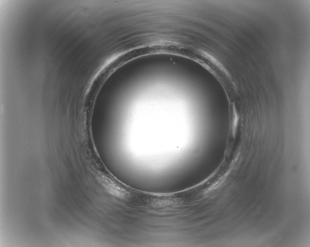 X0000066101021200603171351