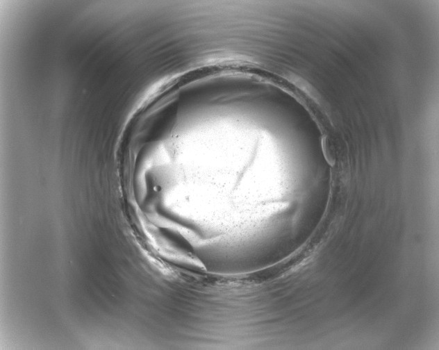 X0000066101022200603171351