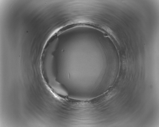 X0000066101024200603171351