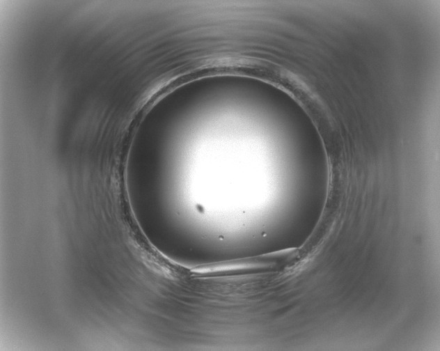 X0000066101025200603171351