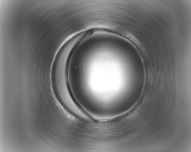 X0000066101028200603171351