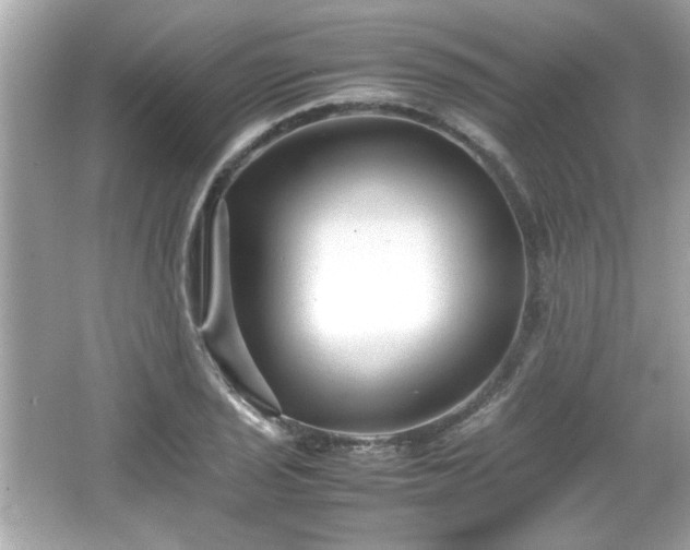 X0000066101029200603171351