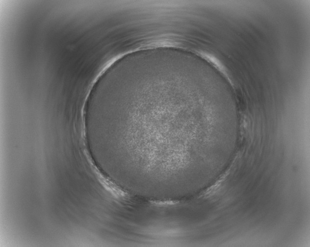 X0000066101031200603171351