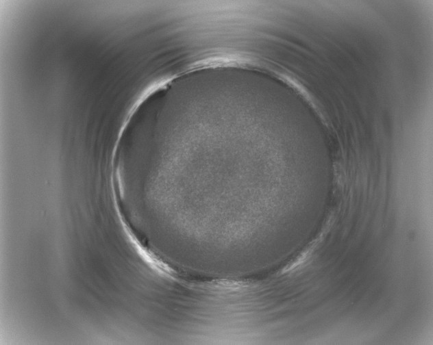 X0000066101034200603171351