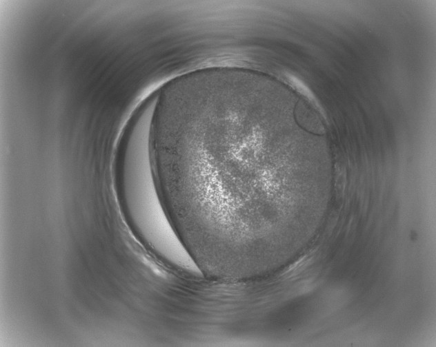 X0000066101035200603171351