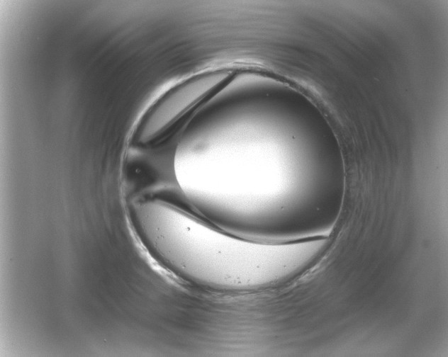 X0000066101038200603171351