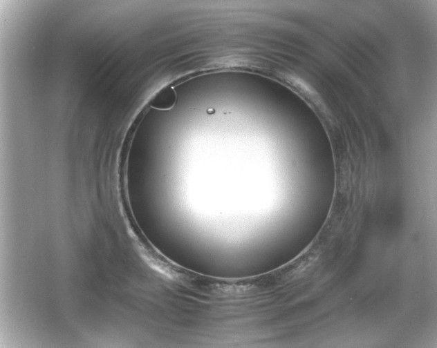 X0000066101039200603171351